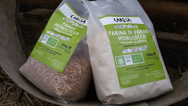 Farina e granella di farro monococco