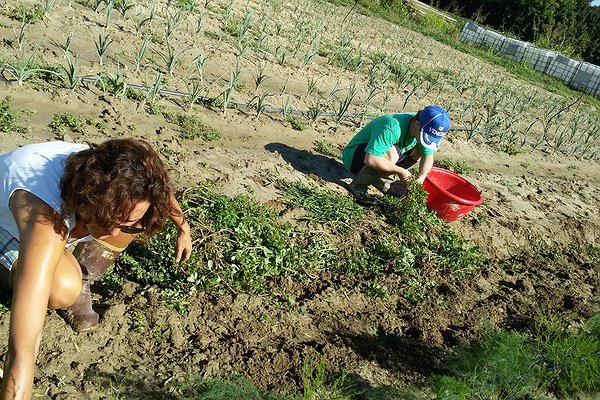 Alfabeto Caresà: A come Agricoltura sociale