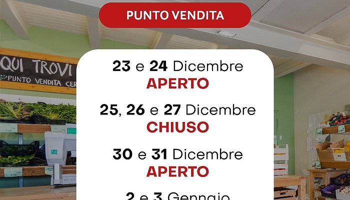 Gli orari delle Feste