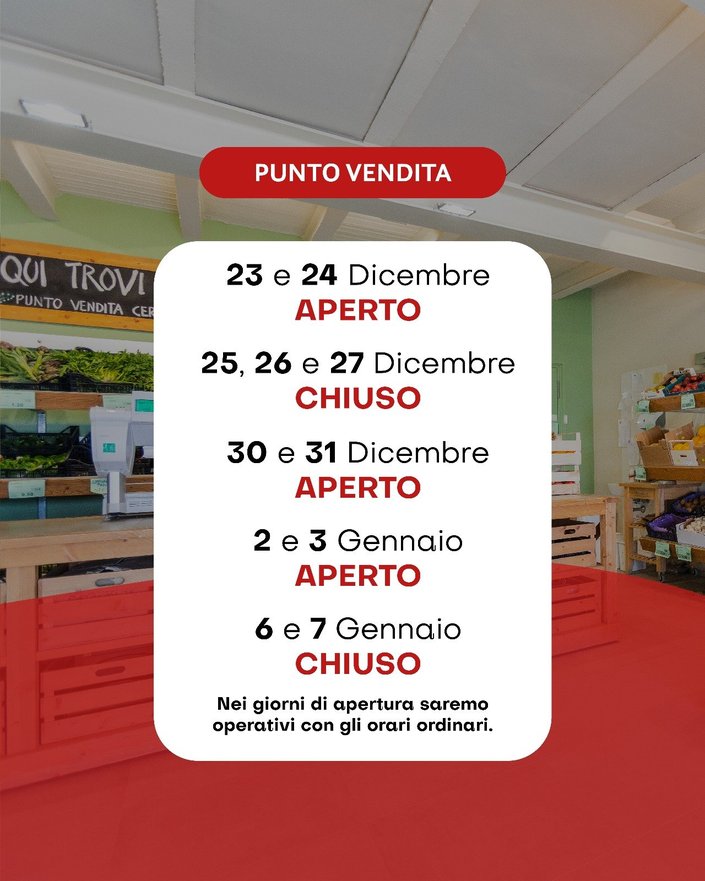 Gli orari delle Feste